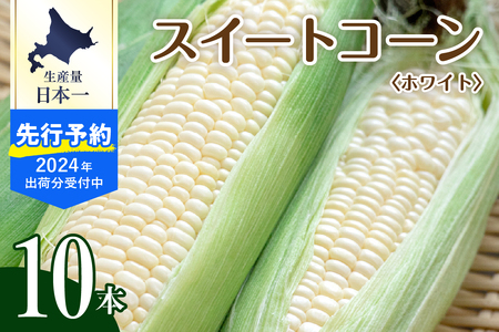 とうもろこし トウモロコシ 北海道 十勝 芽室町 生 野菜 人気 キャンプ飯 BBQ ソロキャン お取り寄せ【2024年分先行予約】北海道十勝芽室町 とうもろこし 10本 ホワイト種 me002-005-24c