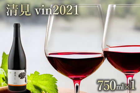 赤ワイン:清見 vin2021 750ml×1本(箱入) 北海道 十勝 芽室町me032-044c