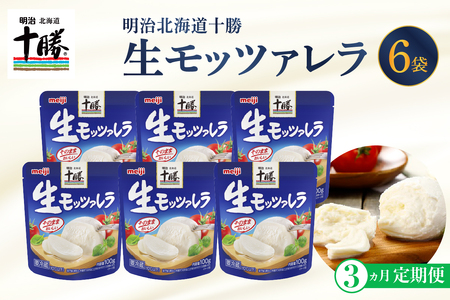 [選べるお届け回数]明治 北海道 十勝 チーズ 生モッツァレラ 6個 セット 100g×6袋 おつまみ 乳製品 生乳 凝縮 ミルク 新鮮 パック お取り寄せ サラダ カプレーゼ ピザ トースト 定期便 毎月 隔月 3回 6回 国産 芽室町me003-070-t3c