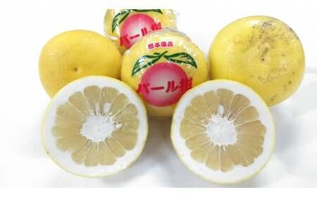 パール柑 【規格外品】ご家庭用 約10kg サイズ不選別 【2026年1月下旬～2月下旬迄発送予定】