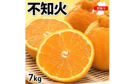 訳あり 不知火 計7kg [2025年1月下旬から2025年4月下旬発送予定]