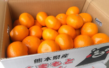 みかん 5kg サイズ2L〜2S 蜜柑 ミカン フルーツ 果物 くだもの 柑橘 熊本産 九州産[2024年10月下旬〜2025年2月下旬発送開始]