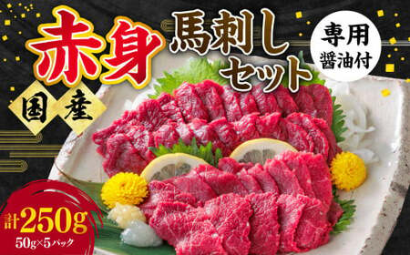 [ふるさと納税]国産 熊本 馬刺し 「赤身馬刺しセット 250g 5人前」赤身 専用醤油 ブロック 冷凍 生食用 プレゼント 贈り物 内祝い