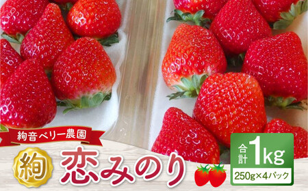 絢音ベリー農園 "絢" 恋みのり いちご 1kg (250g×4パック) 苺 先行予約 熊本県 高級 フルーツ ギフト 厳選 [2024年12月上旬〜2025年1月上旬]