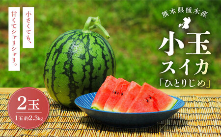 A؃uh ʂ 2.3kg 2 ЂƂ肶  tXCJ A XCJ Z ʕ t[c Zbg y2026N5{`5{\z