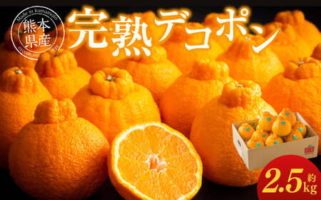 熊本県産 完熟 デコポン 計2.5kg(10〜12玉) 果物 くだもの フルーツ 蜜柑 ミカン 柑橘 [2026年3月上旬〜3月下旬発送予定]