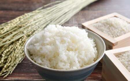 yߘa8NYzyn̕āz 󂠂 4kgi2kg×2j ܂̋P y2026N10{`2027N1{܂ŏ\z  R V   ͂ ɂ ݂