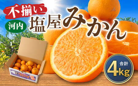＜2026年1月発送予定＞【不揃い】選べる 河内 塩屋みかん 4kg 青島みかん 熊本 国産 みかん 蜜柑 ミカン 果物 くだもの フルーツ 