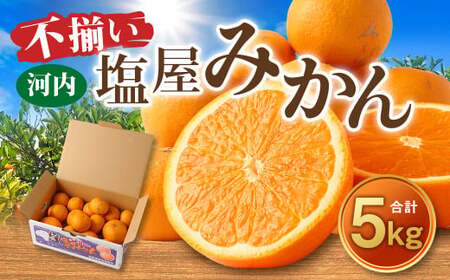 ＜2026年1月発送予定＞【不揃い】選べる 河内 塩屋みかん 5kg 青島みかん 熊本 国産 みかん 蜜柑 ミカン 果物 くだもの フルーツ 
