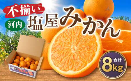 ＜2026年1月発送予定＞【不揃い】選べる 河内 塩屋みかん 8kg 青島みかん 熊本 国産 みかん 蜜柑 ミカン 果物 くだもの フルーツ 