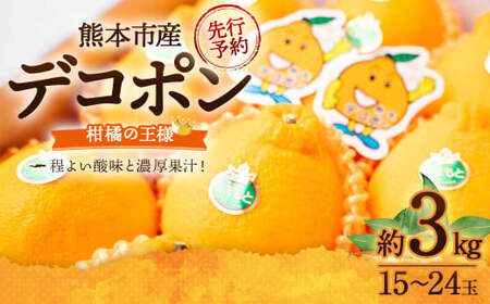 デコポン 約3kg (15〜24玉) 果物 くだもの フルーツ 柑橘 [2026年2月下旬〜3月下旬迄順次発送予定]