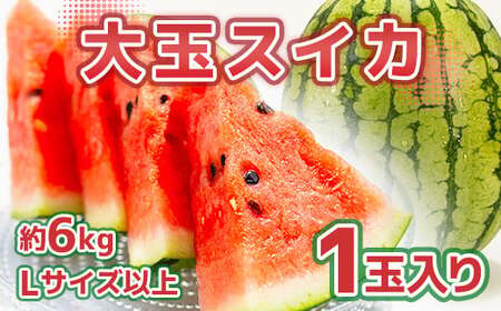熊本市産 すいか 1玉 約4kg以上 西瓜 すいか 青果物 果物 フルーツ [2026年5月上旬〜6月上旬迄発送予定]