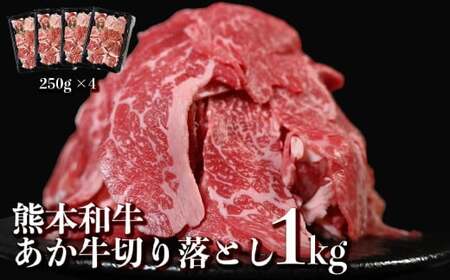 あか牛 切り落とし スライス 約1kg (約250g×4パック) 赤牛 和牛 国産和牛 牛肉 お肉 肉 切落し 薄切り 小分け 熊本県 熊本市 冷凍
