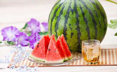 A؎Y  LTCY 1 y2026N4{`6{\z XCJ Z ʕ  t[c