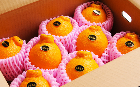 F{t[c3i3.4.5jy2026N3{`5{\z t[c ʕ   sm Mtg    F{Y