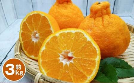 fR| 3kg y2026N1{`2{\z ݂ ~J   ʕ k t[c F{Y