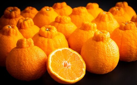 �F�{���Y �f�R�|�� 5kg �y2026�N3����{�`3�����{�����������\��z �݂���  �~�J�� ���� �������� �ʕ� ���k �t���[�c ���Y