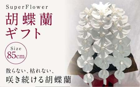 SuperFlower「胡蝶蘭ギフト」 伝統工芸花 工芸花 スーパーフラワー 国産 日本製 熊本県産 胡蝶蘭 コチョウラン こちょうらん 熊本県 熊本市