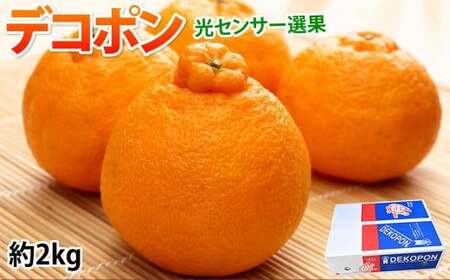 デコポン I12光センサー選果 約2kg (5〜10玉) [2025年12月上旬から2026年5月下旬発送予定] でこぽん 蜜柑 みかん 果物 果実 フルーツ 熊本県 熊本市 常温