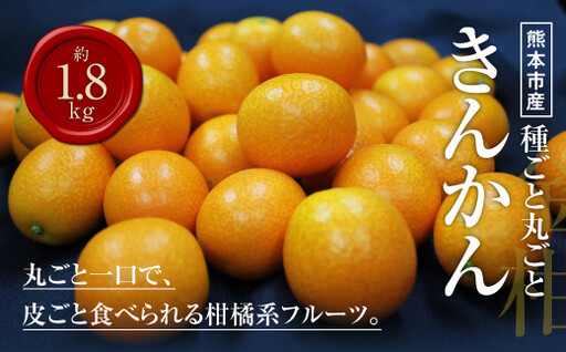 熊本市産 種ごと 丸ごと きんかん 約1.8kg 金柑 キンカン [2027年1月下旬〜2月下旬迄発送予定]