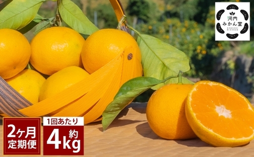 【 2ヶ月定期便 】 【 訳アリ 】 「 河内みかん堂 」 のみかん 約4kg + 傷み補償付き 約5玉 （ 家庭用 ）  みかん ミカン 河内みかん 柑橘系 柑橘類 柑橘 くだもの 果物 フルーツ 果実 果汁 果肉 国産 熊本県産 旬 【 2026年11月上旬発送開始 】