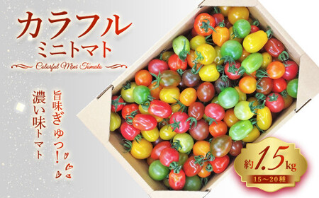 15〜20種 の カラフル ミニトマト 合計約1.5kg トマト 完熟