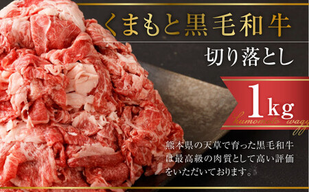 天草 黒毛和牛 切り落とし 計1㎏(500g×2パック) 牛肉