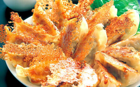 【6ヶ月定期便】 餃子の王国 黒豚 生餃子 105個×6ヶ月 255g（15個）×7パック ×6回