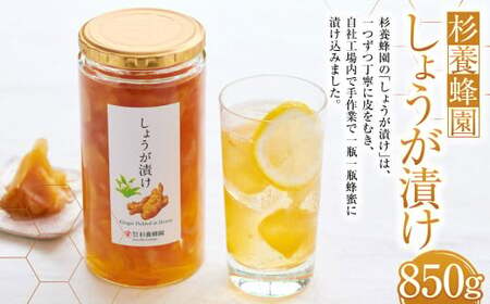 熊本 杉養蜂園 しょうが漬け 850g 蜂蜜 はちみつ