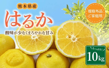 [規格外品]はるか ご家庭用 10kg サイズ不選別 サラダみかん 柑橘 ミカン 果物[2025年2月上旬〜3月下旬発送予定]