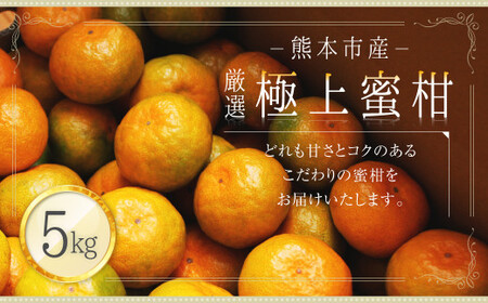 熊本市産 厳選 極上蜜柑 5kg[2024年9月上旬〜2025年1月下旬発送予定] みかん ミカン 柑橘