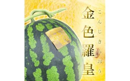 熊本産 金色羅皇 1玉 7キロ以上【2025年5月下旬～6月下旬発送予定】 西瓜 すいか スイカ 果物 フルーツ くだもの