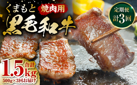 [定期便3回]くまもと黒毛和牛 焼肉用 500g ×3回 牛肉 やきにく