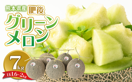 [先行予約]熊本県産 肥後グリーンメロン 約7kg (1玉1.6〜2kg) 果物 フルーツ メロン[2024年6月上旬より順次発送]