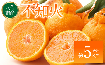 ys\z sm΁ifR|Ɠij 5kg ʂ ł݂ k ~J |J  ʕ t[c y2026N1{菇z