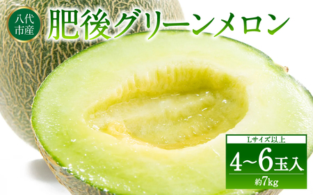 ys\z F{sY O[ Lȏ  4`6 7kg ʕ  t[c O[   y2026N6{菇z