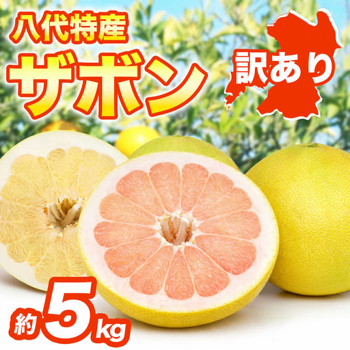 [先行予約] [訳あり] 八代ザボン (赤肉または白肉) 約5kg (3〜6玉) 果物 くだもの 果汁 柑橘 おやつ フルーツ デザート 熊本県 八代市 [2026年11月上旬より順次発送]