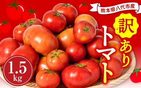 [先行予約] [訳あり] 八代市産 規格外トマト 1.5kg 熊本県 トマト 野菜[2024年11月下旬より順次発送]