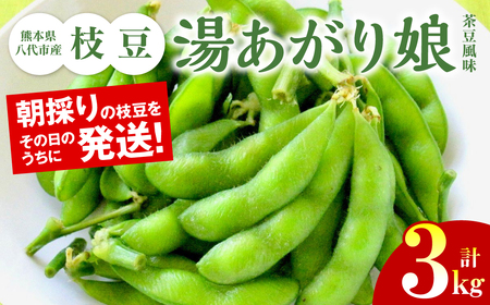 ys\z F{sY } [薺i) ] 3kg ܂ ٓ ܂  { G_} ̂ y  y2026N6{菇z