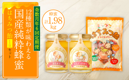 [定期便 年6回 奇数月]蜂蜜165g×12種類が味わえる+蜂蜜あめ袋