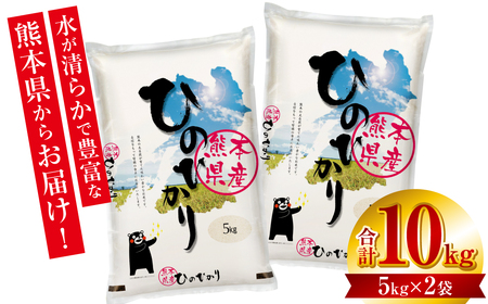 【令和6年産】 熊本県産 くまモンひのひかり 10kg （ 5kg × 2袋 ） 米 精米 白米 国産