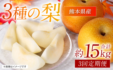 [先行予約] 熊本県産 3種の梨の定期便 約5kg ×3回 (計15kg) [2024年8月下旬より順次発送]
