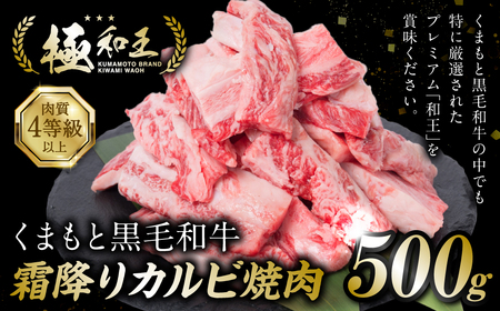 極和王シリーズ くまもと黒毛和牛 霜降りカルビ焼肉 500g 熊本県産 牛肉