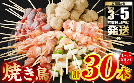 焼き鳥 5種 30本セット お試しサイズ!＼スピード発送/ 最短3-5営業日以内に発送 (焼き鳥 やきとり 焼鳥 国産 鳥肉 鶏肉 国産鶏 やきとり串 串 焼鳥 丼 丼 九州産 冷凍 小分け バラエティーセット 鶏ねぎま とろ 鶏もも 砂肝 つくね)