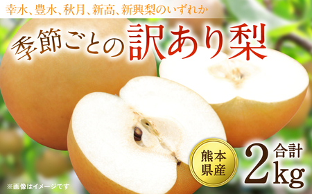 [先行予約][2025年8月上旬より順次発送]熊本県産 季節ごとの訳あり梨 合計2kg ナシ 幸水 豊水 秋月 新高 神興梨 果物 くだもの フルーツ