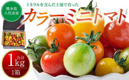 [先行予約] カラーミニトマト1kg トマト とまと ミニトマト プチトマト 野菜 やさい 旬の野菜 新鮮な 地元産 旬のやさい 新鮮な ご当地 国産 特産品 お取り寄せ ギフト プレゼント 家庭用 食卓 [2025年11月中旬より順次発送]