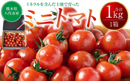 [先行予約] ミニトマト1kg トマト とまと ミニトマト プチトマト 野菜 やさい 旬の野菜 新鮮な 地元産 旬のやさい 新鮮な ご当地 国産 特産品 お取り寄せ ギフト プレゼント 家庭用 食卓 [2025年11月中旬より順次発送]