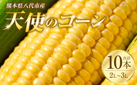 ys\z F{sYuVg̃R[v2L`3LTCY v10{ XC[gR[ Ƃ낱 R[ Ƃ낱 y2026N5{菇z