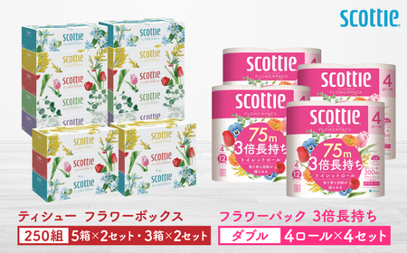 【スコッティ】ティシュー フラワーボックス 250組（5箱パック×2セット・3箱パック×2セット）＋フラワーパック 3倍長持ち（4ロール(ダブル)パックx4セット）ティッシュ トイレットペーパー 日用品