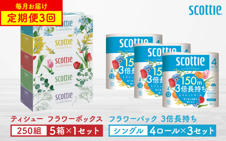 【定期便3回】【毎月1回お届け】【スコッティ】ティシュー フラワーボックス 250組（5箱パックx1セット）＋フラワーパック 3倍長持ち（4ロール(シングル)パックx3セット）ティッシュ トイレットペーパー 日用品